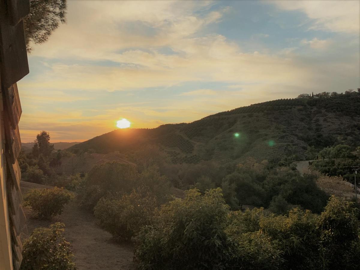 The Quiet Side of Temecula. (Video)