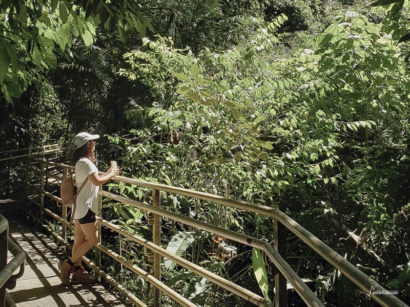 Discover the Best Experiences in Costa Rica: A Guide to the Must-See Attractions and Activities